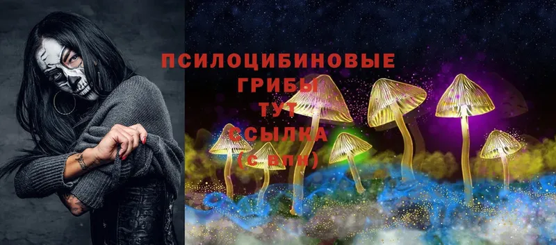 Галлюциногенные грибы Psilocybine cubensis  как найти закладки  Дорогобуж 